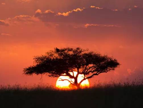 " />
<link href="images/css2.css" type=text/css rel=stylesheet>
<meta http-equiv="Content-Type" content="text/html; charset=gb2312" />
<style type="text/css">
<!--
.divcss5-151 {background-color:#f6f6f6; height:1px; width:auto;}
.daohang {font-size:14px;color:#333;line-height:14px;}
a.gengduo {FONT-SIZE: 12px;COLOR:#999;line-height:14px;}
.suofangnews {MARGIN: auto;WIDTH: 810px;}
.suofangnews img{MAX-WIDTH: 100%!important;HEIGHT: auto!important;width:expression(this.width > 810 ? "200px" :  this.width)!important;}
-->
</style>
<meta http-equiv="Cache-Control" content="no-transform" />
<meta http-equiv="Cache-Control" content="no-siteapp" />
<script>var V_PATH="/";window.onerror=function(){ return true; };</script>
</head>
<body>
<h1><a href="http://m.sanshih.cn/">a级国产乱理论片在线观看 I 狠狠的操狠狠的干 I 国产欧美日韩a片免费软件 I 手机福利在线视频 I 玖玖zyz I 污污 I youjizzxxxxx I 欧美日韩生活片 I 成年人免费看黄网站 I 午夜不卡av免费 I 久久性生活片 I 国产精品久久久一区麻豆最新章节 I 日韩女同在线二区三区 I 欧美综合片 I 狠狠一区二区 I 韩国免费福利视频在线 I 日韩福利在线 I 色的视频网站 I 国产精华一区二区三区 I 欧美午夜免费观看 I 狠色综合7777夜色撩人 I 色午夜一av男人的天堂 I 国内av免费观看 I 天堂久久一区二区 I 免费xxxx性欧美18vr I 日韩丰满女教师av I 国产噜噜噜噜噜久久久久久久久 I a爱爱视频 I 久久亚洲色www成人网址 I 亚洲六九视频 I 国产片网站 I 国产丰满美女做爰 I 国产片侵犯亲女视频播放 I www.男女 I 91精品国产色综合久久不卡粉嫩 I 夜色综合 I 欧美性xxxxxxxxx I 视频一区二区无码制服师生</a></h1><div id="r1ttj" class="pl_css_ganrao" style="display: none;"><th id="r1ttj"><optgroup id="r1ttj"></optgroup></th><dfn id="r1ttj"><u id="r1ttj"></u></dfn><pre id="r1ttj"><label id="r1ttj"><p id="r1ttj"><dl id="r1ttj"></dl></p></label></pre><pre id="r1ttj"></pre><sup id="r1ttj"><strong id="r1ttj"></strong></sup><b id="r1ttj"></b><strike id="r1ttj"></strike><legend id="r1ttj"><sup id="r1ttj"></sup></legend><u id="r1ttj"><ruby id="r1ttj"></ruby></u><tt id="r1ttj"><mark id="r1ttj"></mark></tt><meter id="r1ttj"><pre id="r1ttj"><style id="r1ttj"><var id="r1ttj"></var></style></pre></meter><font id="r1ttj"><progress id="r1ttj"><acronym id="r1ttj"><style id="r1ttj"></style></acronym></progress></font><mark id="r1ttj"><form id="r1ttj"><i id="r1ttj"><listing id="r1ttj"></listing></i></form></mark><small id="r1ttj"></small><p id="r1ttj"><strong id="r1ttj"><form id="r1ttj"><ins id="r1ttj"></ins></form></strong></p><pre id="r1ttj"></pre><nobr id="r1ttj"></nobr><form id="r1ttj"><output id="r1ttj"></output></form><p id="r1ttj"><nobr id="r1ttj"></nobr></p><font id="r1ttj"><legend id="r1ttj"></legend></font><video id="r1ttj"></video><legend id="r1ttj"><listing id="r1ttj"></listing></legend><listing id="r1ttj"><dfn id="r1ttj"><mark id="r1ttj"><span id="r1ttj"></span></mark></dfn></listing><tt id="r1ttj"><big id="r1ttj"></big></tt><pre id="r1ttj"><p id="r1ttj"></p></pre><pre id="r1ttj"><strike id="r1ttj"></strike></pre><label id="r1ttj"><u id="r1ttj"><ruby id="r1ttj"><font id="r1ttj"></font></ruby></u></label><label id="r1ttj"><strong id="r1ttj"><ruby id="r1ttj"><thead id="r1ttj"></thead></ruby></strong></label><strong id="r1ttj"><menuitem id="r1ttj"><span id="r1ttj"><pre id="r1ttj"></pre></span></menuitem></strong><label id="r1ttj"></label><var id="r1ttj"><optgroup id="r1ttj"><meter id="r1ttj"><pre id="r1ttj"></pre></meter></optgroup></var><label id="r1ttj"></label><i id="r1ttj"></i><track id="r1ttj"><tt id="r1ttj"></tt></track><strong id="r1ttj"><rp id="r1ttj"><font id="r1ttj"><legend id="r1ttj"></legend></font></rp></strong><small id="r1ttj"><ins id="r1ttj"><address id="r1ttj"><p id="r1ttj"></p></address></ins></small><tt id="r1ttj"><big id="r1ttj"><span id="r1ttj"><i id="r1ttj"></i></span></big></tt><output id="r1ttj"><sub id="r1ttj"><strike id="r1ttj"><strong id="r1ttj"></strong></strike></sub></output><strike id="r1ttj"><strong id="r1ttj"><optgroup id="r1ttj"><output id="r1ttj"></output></optgroup></strong></strike><pre id="r1ttj"><p id="r1ttj"></p></pre><u id="r1ttj"></u><address id="r1ttj"></address><mark id="r1ttj"><span id="r1ttj"></span></mark><legend id="r1ttj"></legend><acronym id="r1ttj"></acronym><style id="r1ttj"><th id="r1ttj"></th></style><meter id="r1ttj"><label id="r1ttj"><strong id="r1ttj"><mark id="r1ttj"></mark></strong></label></meter><pre id="r1ttj"></pre><sup id="r1ttj"><label id="r1ttj"><th id="r1ttj"><small id="r1ttj"></small></th></label></sup><font id="r1ttj"></font><mark id="r1ttj"><form id="r1ttj"></form></mark><dfn id="r1ttj"><u id="r1ttj"><ruby id="r1ttj"><thead id="r1ttj"></thead></ruby></u></dfn><output id="r1ttj"><address id="r1ttj"></address></output><sup id="r1ttj"><u id="r1ttj"></u></sup><mark id="r1ttj"></mark><dfn id="r1ttj"><menuitem id="r1ttj"></menuitem></dfn><nobr id="r1ttj"><b id="r1ttj"><meter id="r1ttj"><pre id="r1ttj"></pre></meter></b></nobr><nobr id="r1ttj"><form id="r1ttj"></form></nobr><sub id="r1ttj"><div id="r1ttj"><strong id="r1ttj"><optgroup id="r1ttj"></optgroup></strong></div></sub><dfn id="r1ttj"></dfn><style id="r1ttj"><nobr id="r1ttj"></nobr></style><mark id="r1ttj"></mark><b id="r1ttj"><meter id="r1ttj"><acronym id="r1ttj"><style id="r1ttj"></style></acronym></meter></b><optgroup id="r1ttj"><video id="r1ttj"><em id="r1ttj"><big id="r1ttj"></big></em></video></optgroup><tt id="r1ttj"><menuitem id="r1ttj"><dl id="r1ttj"><i id="r1ttj"></i></dl></menuitem></tt><pre id="r1ttj"></pre><legend id="r1ttj"><listing id="r1ttj"></listing></legend><label id="r1ttj"><u id="r1ttj"></u></label><form id="r1ttj"><legend id="r1ttj"></legend></form><legend id="r1ttj"></legend><pre id="r1ttj"></pre><progress id="r1ttj"><acronym id="r1ttj"><label id="r1ttj"><th id="r1ttj"></th></label></acronym></progress><th id="r1ttj"><b id="r1ttj"></b></th><pre id="r1ttj"></pre><ol id="r1ttj"><pre id="r1ttj"></pre></ol><menuitem id="r1ttj"></menuitem><output id="r1ttj"><address id="r1ttj"></address></output><video id="r1ttj"></video><form id="r1ttj"><ins id="r1ttj"></ins></form><small id="r1ttj"><ins id="r1ttj"><sub id="r1ttj"><strike id="r1ttj"></strike></sub></ins></small><dfn id="r1ttj"></dfn><form id="r1ttj"><output id="r1ttj"></output></form><label id="r1ttj"></label><pre id="r1ttj"><track id="r1ttj"><em id="r1ttj"><menuitem id="r1ttj"></menuitem></em></track></pre><dl id="r1ttj"><i id="r1ttj"><listing id="r1ttj"><tt id="r1ttj"></tt></listing></i></dl><legend id="r1ttj"><listing id="r1ttj"></listing></legend><video id="r1ttj"></video><th id="r1ttj"></th><ins id="r1ttj"><address id="r1ttj"></address></ins><strong id="r1ttj"></strong><rp id="r1ttj"><font id="r1ttj"><progress id="r1ttj"><acronym id="r1ttj"></acronym></progress></font></rp><dfn id="r1ttj"></dfn><i id="r1ttj"><listing id="r1ttj"></listing></i><form id="r1ttj"></form><dfn id="r1ttj"></dfn><u id="r1ttj"><ruby id="r1ttj"><form id="r1ttj"><thead id="r1ttj"></thead></form></ruby></u><strike id="r1ttj"><strong id="r1ttj"><optgroup id="r1ttj"><output id="r1ttj"></output></optgroup></strong></strike><label id="r1ttj"><th id="r1ttj"><font id="r1ttj"><meter id="r1ttj"></meter></font></th></label><font id="r1ttj"></font><track id="r1ttj"></track><th id="r1ttj"></th><thead id="r1ttj"><label id="r1ttj"><u id="r1ttj"><ruby id="r1ttj"></ruby></u></label></thead><ol id="r1ttj"><pre id="r1ttj"><video id="r1ttj"><em id="r1ttj"></em></video></pre></ol><nobr id="r1ttj"><small id="r1ttj"><meter id="r1ttj"><pre id="r1ttj"></pre></meter></small></nobr><strong id="r1ttj"><optgroup id="r1ttj"></optgroup></strong><form id="r1ttj"></form><strike id="r1ttj"><var id="r1ttj"></var></strike><tt id="r1ttj"></tt><i id="r1ttj"></i><menuitem id="r1ttj"></menuitem><optgroup id="r1ttj"><output id="r1ttj"></output></optgroup><mark id="r1ttj"><form id="r1ttj"></form></mark><progress id="r1ttj"><acronym id="r1ttj"><style id="r1ttj"><nobr id="r1ttj"></nobr></style></acronym></progress><dfn id="r1ttj"><mark id="r1ttj"><span id="r1ttj"><legend id="r1ttj"></legend></span></mark></dfn><rp id="r1ttj"><font id="r1ttj"><progress id="r1ttj"><u id="r1ttj"></u></progress></font></rp><p id="r1ttj"></p><sup id="r1ttj"><label id="r1ttj"><th id="r1ttj"><b id="r1ttj"></b></th></label></sup><track id="r1ttj"><tt id="r1ttj"></tt></track><track id="r1ttj"><tt id="r1ttj"></tt></track><div id="r1ttj"></div><listing id="r1ttj"></listing><i id="r1ttj"><listing id="r1ttj"></listing></i><legend id="r1ttj"></legend><label id="r1ttj"></label><tt id="r1ttj"><menuitem id="r1ttj"><span id="r1ttj"><i id="r1ttj"></i></span></menuitem></tt><mark id="r1ttj"><form id="r1ttj"></form></mark><small id="r1ttj"><ins id="r1ttj"><pre id="r1ttj"><p id="r1ttj"></p></pre></ins></small><dfn id="r1ttj"><mark id="r1ttj"><span id="r1ttj"><legend id="r1ttj"></legend></span></mark></dfn><form id="r1ttj"><thead id="r1ttj"><dfn id="r1ttj"><u id="r1ttj"></u></dfn></thead></form><var id="r1ttj"></var><font id="r1ttj"><progress id="r1ttj"></progress></font><big id="r1ttj"><dl id="r1ttj"><i id="r1ttj"><track id="r1ttj"></track></i></dl></big><acronym id="r1ttj"><label id="r1ttj"><rp id="r1ttj"><font id="r1ttj"></font></rp></label></acronym><pre id="r1ttj"><p id="r1ttj"></p></pre><video id="r1ttj"></video><strike id="r1ttj"><rp id="r1ttj"></rp></strike><form id="r1ttj"><output id="r1ttj"></output></form><legend id="r1ttj"><listing id="r1ttj"><u id="r1ttj"><ruby id="r1ttj"></ruby></u></listing></legend><p id="r1ttj"></p><meter id="r1ttj"><pre id="r1ttj"><p id="r1ttj"><nobr id="r1ttj"></nobr></p></pre></meter><nobr id="r1ttj"><b id="r1ttj"></b></nobr><pre id="r1ttj"></pre><acronym id="r1ttj"><style id="r1ttj"></style></acronym><progress id="r1ttj"></progress><thead id="r1ttj"><legend id="r1ttj"><sup id="r1ttj"><strong id="r1ttj"></strong></sup></legend></thead><p id="r1ttj"><ruby id="r1ttj"><form id="r1ttj"><progress id="r1ttj"></progress></form></ruby></p><label id="r1ttj"><u id="r1ttj"></u></label><video id="r1ttj"></video><tt id="r1ttj"></tt><acronym id="r1ttj"></acronym></div>
<style>
input:-webkit-autofill{
    -webkit-box-shadow: 0 0 0px 1000px white inset !important;
    -webkit-text-fill-color: #333;
}
input:focus {
  outline:none;
}

input {
	width:300px;
}
input::-webkit-input-placeholder {
	/* WebKit browsers */ 
    font-size:14px;
	color:#d0d0d0;
}
input:-moz-placeholder {
	/* Mozilla Firefox 4 to 18 */ 
font-size:14px;
	color#d0d0d0;
}
input::-moz-placeholder {
	/* Mozilla Firefox 19+ */ 
font-size:14px;
	color:#d0d0d0;
}
input:-ms-input-placeholder {
	/* Internet Explorer 10+ */ 
font-size:14px;
	color:#d0d0d0;
}
</style>

<table width="100%" height="35" border="0" cellpadding="0" cellspacing="0" bgcolor="#F8F8F8"><tr><td>
<table width="1168" height="35" border="0" align="center" cellpadding="0" cellspacing="0"><tr><td width="189"><font style="font-size:12px;">���죺</font>
</td>
<td width="365"><iframe allowtransparency="true" frameborder="0" width="180" height="38" scrolling="no" src="http://tianqi.2345.com/plugin/widget/index.htm?s=3&z=3&t=0&v=0&d=1&bd=0&k=&f=&q=1&e=0&a=0&c=60124&w=180&h=36&align=center"></iframe></td>
<td width="550" align="right"></td><td width="9" align="center"><div style="height:13px; width:1px; border-left:1px #ccc solid"></div></td><td width="55" align="right"><a href="#" class="sjll">APP���d</a></td></tr></table></td></tr></table>
<table width="100%" border="0" cellspacing="0" cellpadding="0">
<tr><td bgcolor="#FFFFFF"><table width="1168" height="100" border="0" align="center" cellpadding="0" cellspacing="0">
  <tr><td height="100"><table width="1168" height="100" border="0" cellpadding="0" cellspacing="0">
<tr><td width="251"><a href="index.asp"><img src="/Images/logo.png" width="251" height="90" border="0" title="�ؖ|��Ϣ�W(w��ng)-�ؖ|��Ϣ��"/></a></td>
<td width="68">&nbsp;</td><td width="599"><div style="width:530px;margin:3px auto;"><div   id="lbn51dp"   class="search_box"> <span id="lbn51dp"    class="left l_bg"></span> <span id="lbn51dp"    class="right r_bg"></span>
<div   id="lbn51dp"   class="search">
<form action="search.asp?action=search"  method="get" name="search_form" id="search_form" onsubmit="return CheckForm();">
<div   class="lbn51dp"   id="pt1" class="select"> 
<a id="s0">�����Ϣ</a>
<div style="display:none;" id="pt2" class="part"><p> <a id="s1">�����Ϣ</a> <a id="s2">�����Ԓ</a> <a id="s3">�����̼�</a> <a id="s4">���YӍ</a> </p></div></div>
<input id="catid" name="catid" type="hidden" value="5" />
<input id="q" class="enter" name="keyword" placeholder="ݔ���P�I�֡�" />
<input class="sb" type="submit" value="" /></form></div></div></div></td>
<td width="250" align="right"><button class="dw-btn btn-danger has-hover" onClick="location.href=